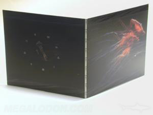 packaging special effects printing spot gloss metallic ink matte lamination