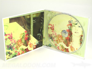 digipak cd dvd usb recycled paper packaging diagonal pocket booklet