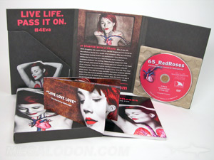 digipak paper tray recycled cd dvd disc tall 6pp flip book 