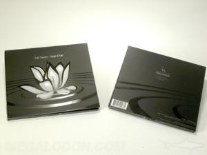 special printing effects cd dvd disc pacakging spot gloss metallic ink 