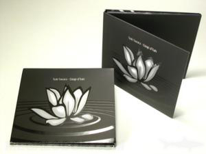 digipak cd dvd spot gloss matte lamination clear tray packaging