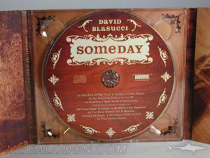 digipak cd wood tone retro embossing spot uv gloss 