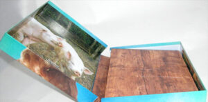 Box set custom boxes