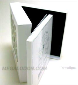 custom box set usb and perfect bound book