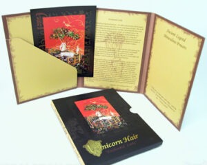 Slipcase Set Tall jacket 6pp pocket booklet, no disc