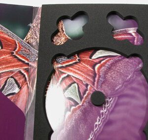 Foam Tray Plastic Free Alternative Packaging Digipak Disc and 2 USB cut outs, full color printing underneath