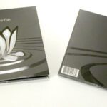 Spot matte effect Custom cd digipak front and back view spot gloss ink ripples in matte lam pond