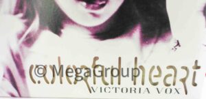 lettering cut out, die cut cd jacket